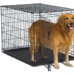 The Best Strongest Dog Crates .What is the strongest dog crate available?