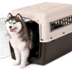 Best Plastic Dog Crates for Large Dogs / XXL plastic Dog Crates