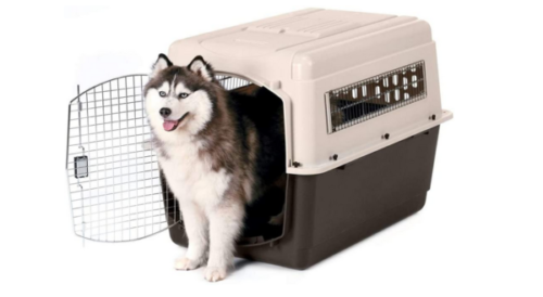 Best Plastic Dog Crates for Large Dogs / XXL plastic Dog Crates
