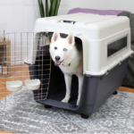 Best XXL Plastic Dog Crates .Dog Crates for Large Dogs