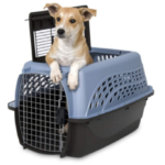 Best Plastic Dog Crates, Collapsible,XXL,Puppies,for Separation Anxiety & More