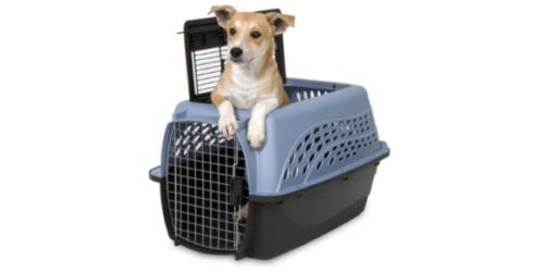 Best Plastic Dog Crates, Collapsible,XXL,Puppies,for Separation Anxiety & More