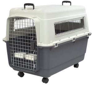 SportPet Designs Plastic Travel Dog Crate
