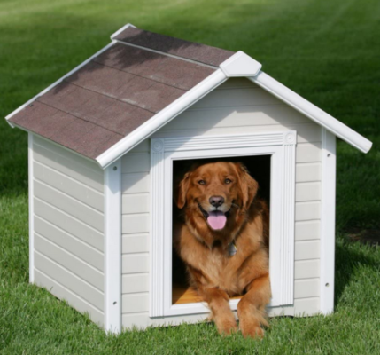 6 Best Luxury Indoor Dog Kennels » The Market Front