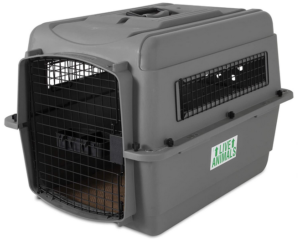 Petmate Sky Kennel Pet Carrier