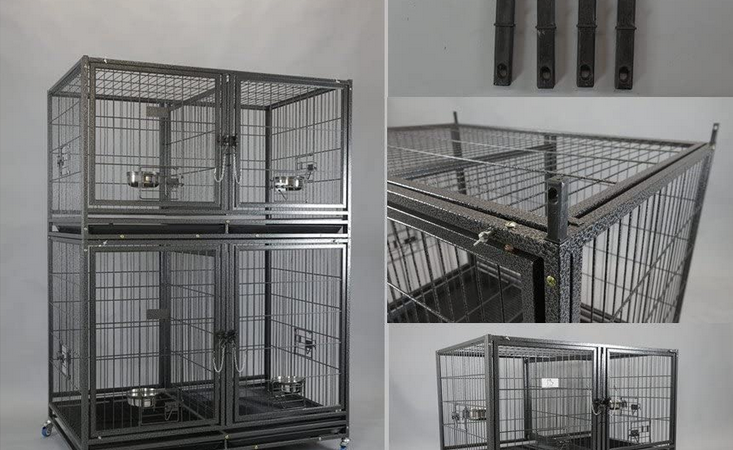 Best Dog Crates with Dividers