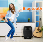 Best Bluetooth PA Speakers