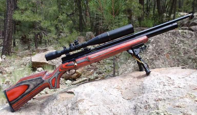 Best 22 Hunting Air Rifles What Is The Best 22 Pellet Rifle For Hunting ...