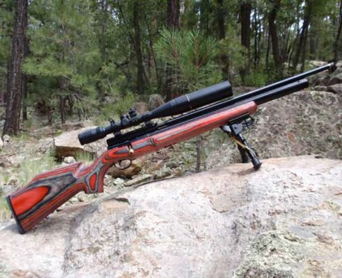 Best .22 Hunting Air Rifles.What is the best .22 Air Rifle for hunting?