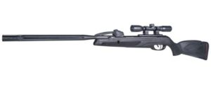 Gamo Swarm Whisper, Multi-Shot Air Rifle (.177 caliber,.22 Caliber )