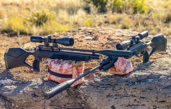 7 Best .177 Hunting Air Rifles for Rabbit,Squirrel,Target & Competition.