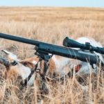 5 Best Leupold Scopes for Air Rifles. Leupold Air Rifle Scopes Review