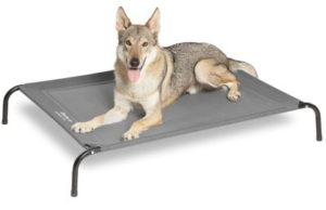 Best Outdoor Dog Beds