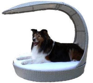 Best Outdoor Dog Beds