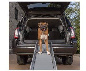 Solvit Deluxe Tri-scope Dog Ramp