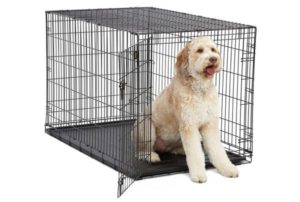 Midwest Homes for Pets Dog Crate