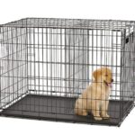Dog Crate with Divider