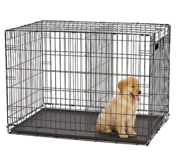 Dog Crate with Divider