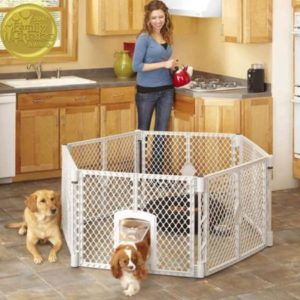 Best Playpens for Puppies