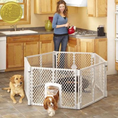 7 Best Playpens for Puppies >Plastic,Small,Large,Indoor Pens