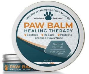 Best Dog Paw Balms
