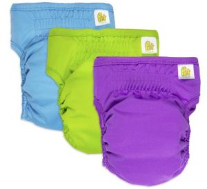 Best Dog Diapers