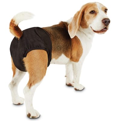 10 Best Dog Diapers.male Female,for Poop,yorkies,heat