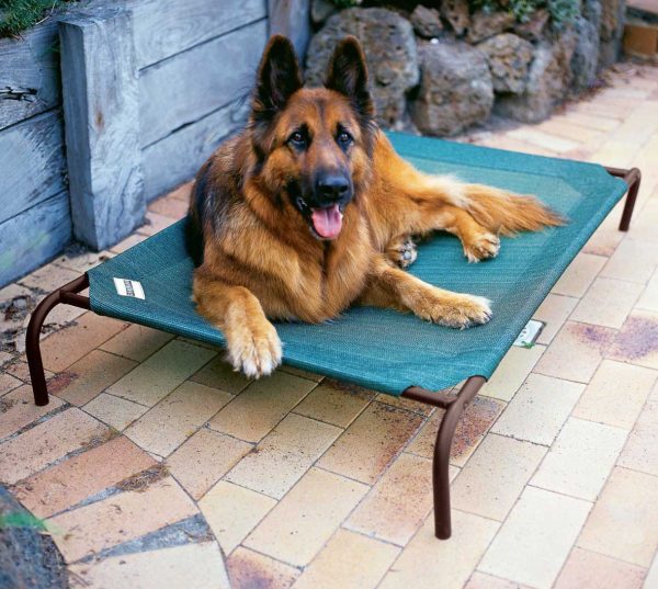 Best Dog Cooling Beds