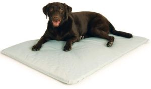 Best Dog Cooling Beds