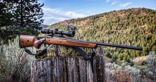 Best Scopes for Elk Hunting