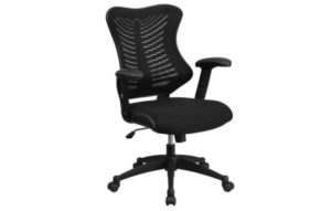 Flash Furniture High Back Designer Executive Ergonomic Office Chair
