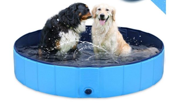 Best Dog Pools. Puncture Proof,Swimming,Paddling,Collapsible