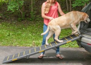 Pet Gear Reflective Extra Wide Foldable Dog Car Ramp
