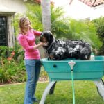 Best Bathtubs for Dogs