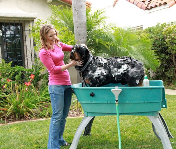 Best Bathtubs for Dogs