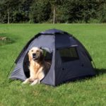 Best Dog Tents