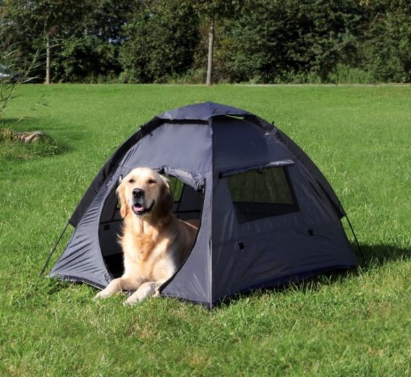 Best Dog Tents