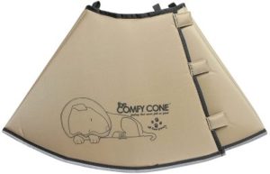 Best Dog Cone Alternatives
