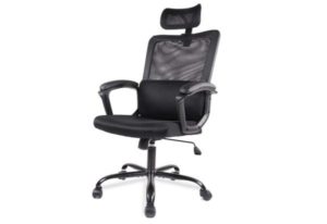 SMUGDESK Ergonomic with Lumbar Support Office Chair