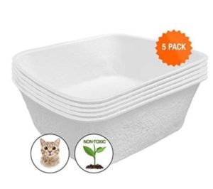 Best Disposable Litter Boxes