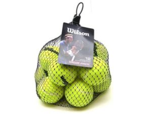 Wilson Pressureless Tennis Balls