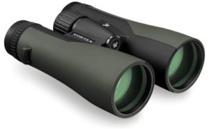 Best 10x50 Vortex Binoculars