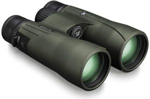 Best 10x50 Vortex Binoculars