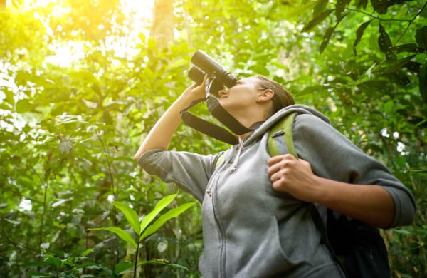 Best Vortex Binoculars for Bird Watching