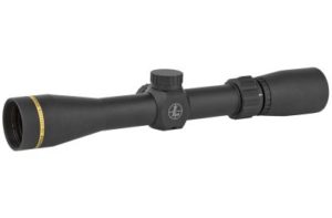 Best Scopes for Ruger 10/22 Squirrel Hunting