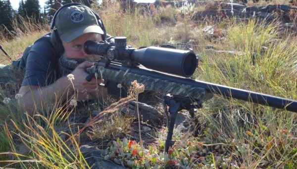 Best Long-Range Vortex Scopes