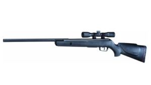 Best Gamo Air Rifle for Big Game Hunting