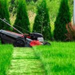 Best Lawn Mowers to Buy Comprehensive Review