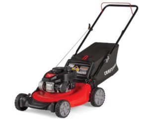 Best Gas Lawn Mowers