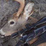 Best Scopes for Deer Hunting